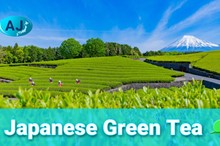 Exploring the Most Popular Types of Japanese Green Tea