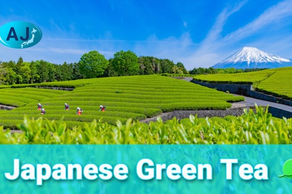 Exploring the Most Popular Types of Japanese Green Tea